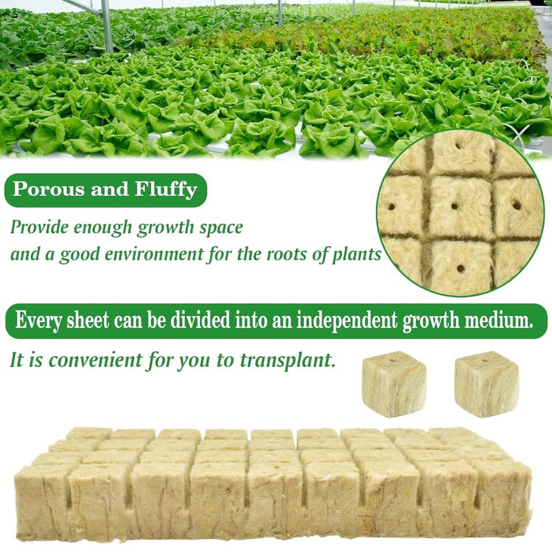 Halatool 1.2 Inch Rockwool Cubes Garden Hydroponic Pods Starter Plugs for Hydroponics Soilless Cultivation Seedling Starting Cuttings Clone & Plants Propagation (2 Sheets, 72 Plugs in Total) - Image 3